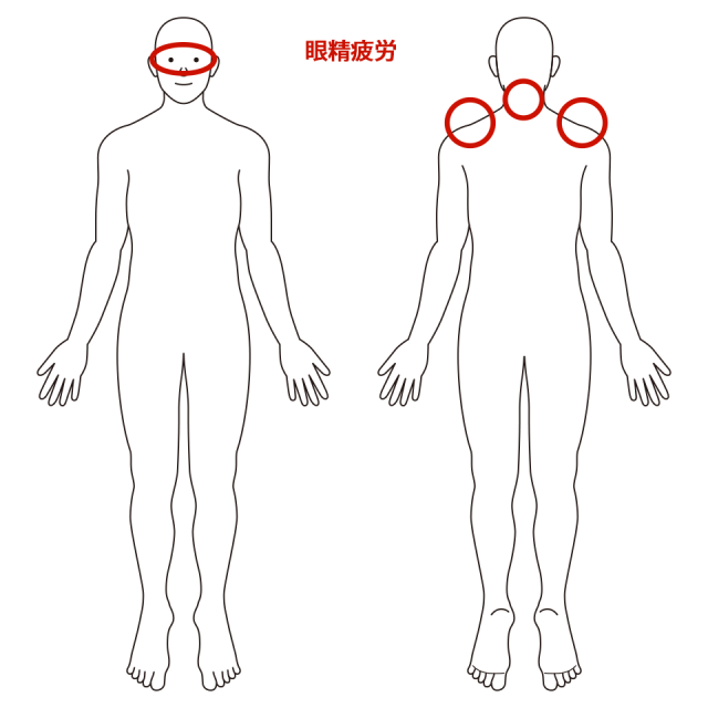 目と肩首