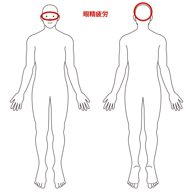 目と頭